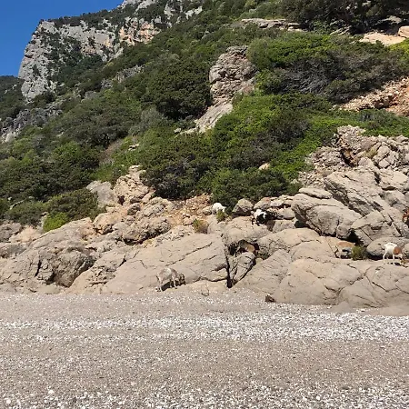 S'apposentu 'e Su Lettu Guest house